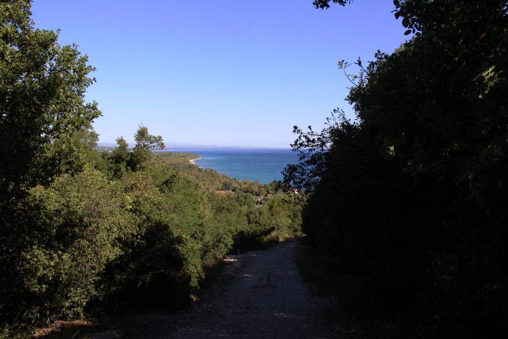 Fasoli Studios Paralia Pantaleimonos Luaran gambar