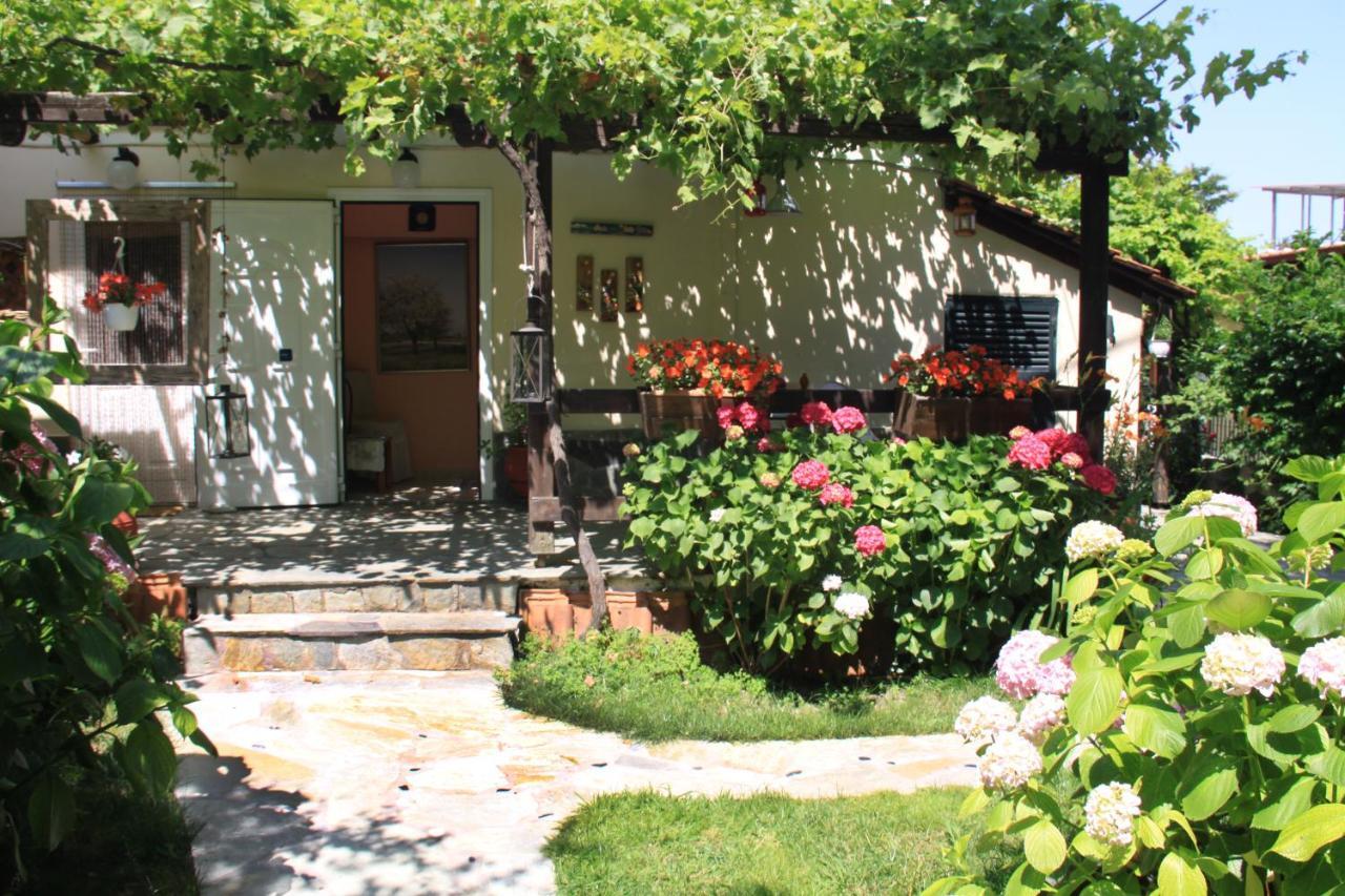 Fasoli Studios Paralia Pantaleimonos Luaran gambar